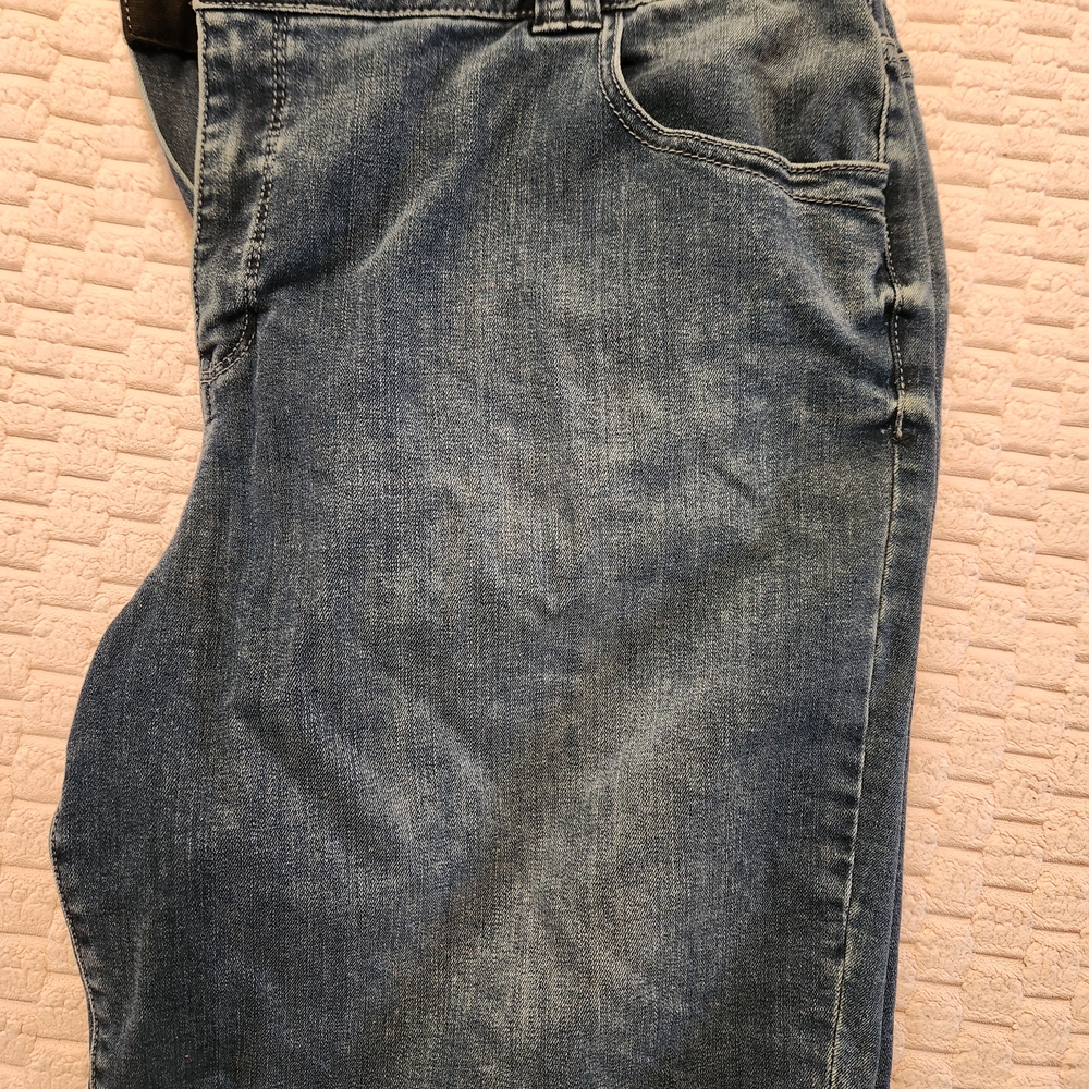 Lane Bryant Blue Jean Shorts